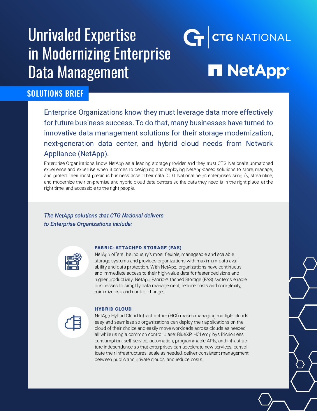 NetApp Solutions Brief: Unrivaled Expertise in Modernizing Federal Data Management
